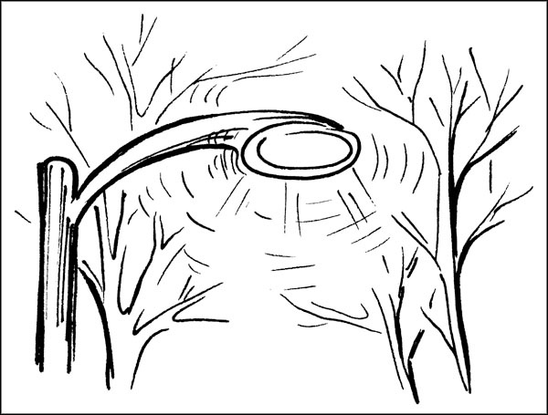 Иллюстрация к книге — Биоритмы для здоровья. Как улучшить свое состояние по биологическим часам [_098.jpg]