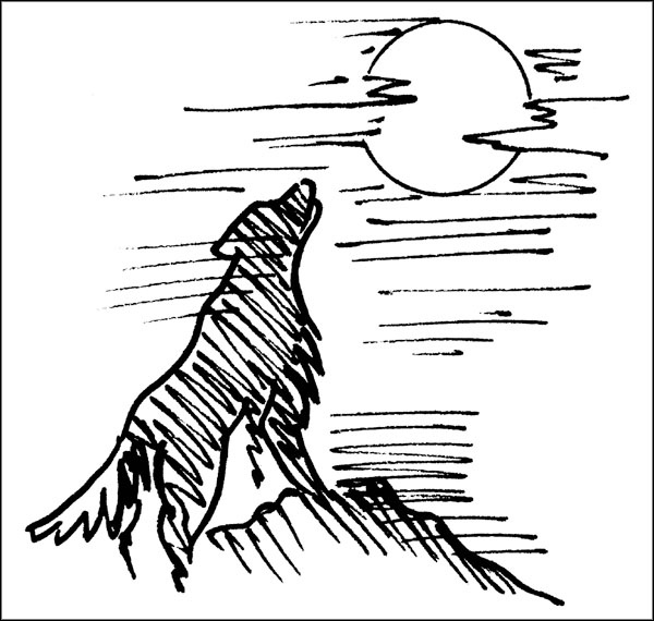 Иллюстрация к книге — Биоритмы для здоровья. Как улучшить свое состояние по биологическим часам [_164.jpg]