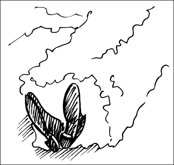 Иллюстрация к книге — Биоритмы для здоровья. Как улучшить свое состояние по биологическим часам [_1792.jpg]