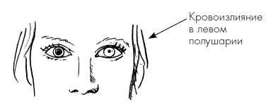 Иллюстрация к книге — Пока едет &quot;Скорая&quot;. Рассказы, которые могут спасти вашу жизнь [i_007.jpg]