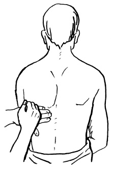 Иллюстрация к книге — Пока едет &quot;Скорая&quot;. Рассказы, которые могут спасти вашу жизнь [i_019.jpg]