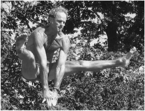 Иллюстрация к книге — Диета 80/10/10. С наслаждением проедая свой путь к идеальному здоровью, оптимальному весу и неисчерпаемой жизненной энергии [i_148.jpg]