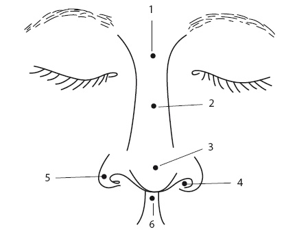 Иллюстрация к книге — Насморк. Как вылечить быстро и эффективно [i_001.jpg]
