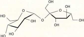 Иллюстрация к книге — Книга о теле [image9.jpg]