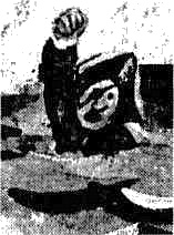 Иллюстрация к книге — Самые веселые завийральные истории [i_002.jpg]