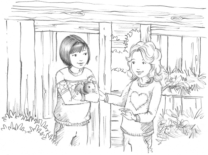 Иллюстрация к книге — Морская свинка Рози, или Тайна ветра [i_003.jpg]