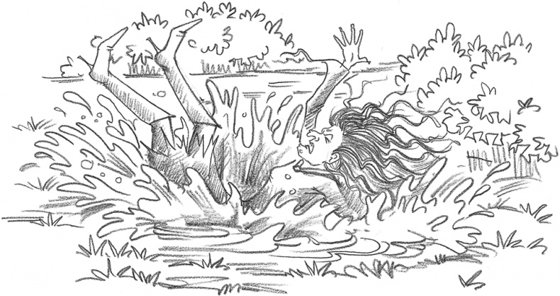 Иллюстрация к книге — Морская свинка Рози, или Тайна ветра [i_032.jpg]