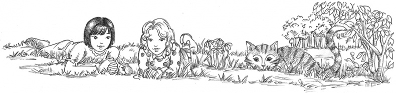 Иллюстрация к книге — Морская свинка Рози, или Тайна ветра [i_036.jpg]