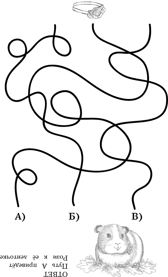 Иллюстрация к книге — Морская свинка Рози, или Тайна ветра [i_037.jpg]