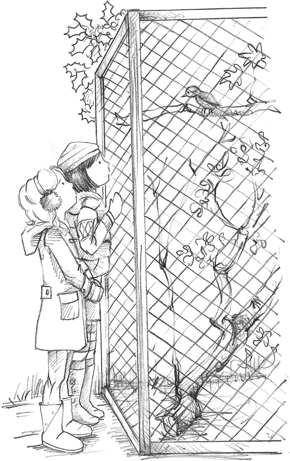 Иллюстрация к книге — Щенок Поппи, или Сонные чары [i_002.jpg]