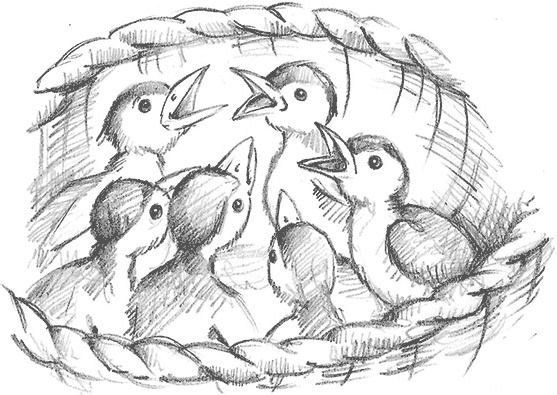 Иллюстрация к книге — Щенок Поппи, или Сонные чары [i_003.jpg]