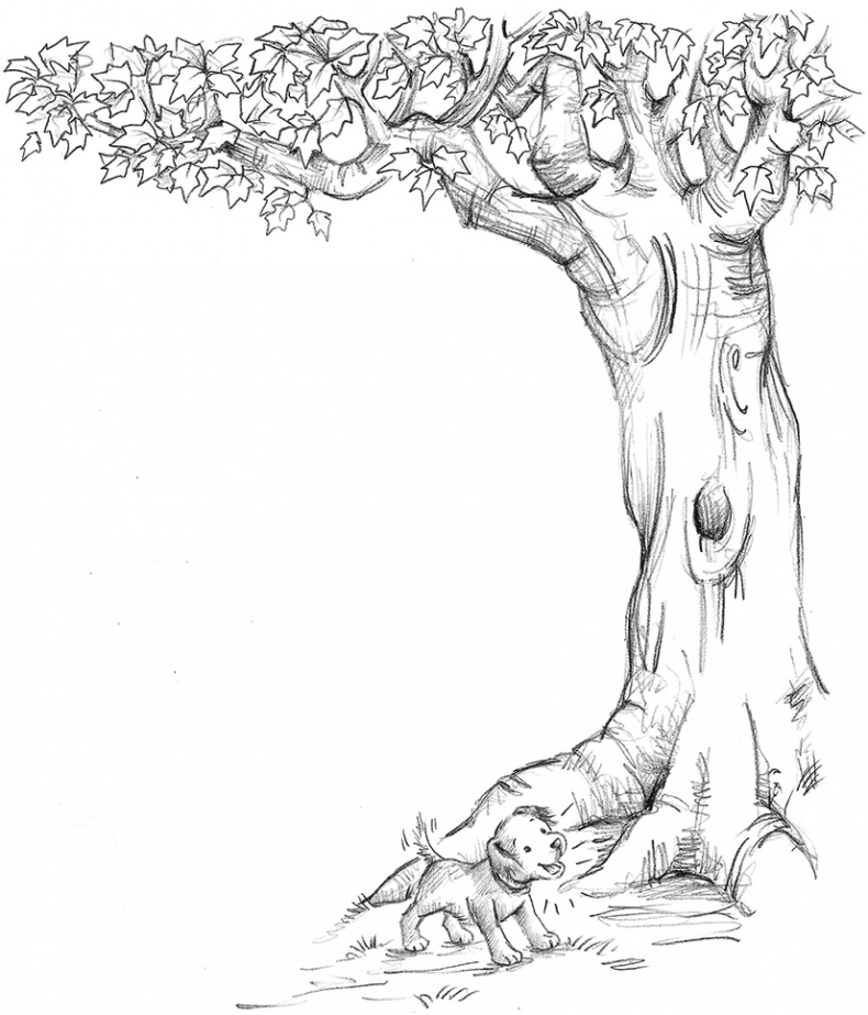 Иллюстрация к книге — Щенок Поппи, или Сонные чары [i_004.jpg]