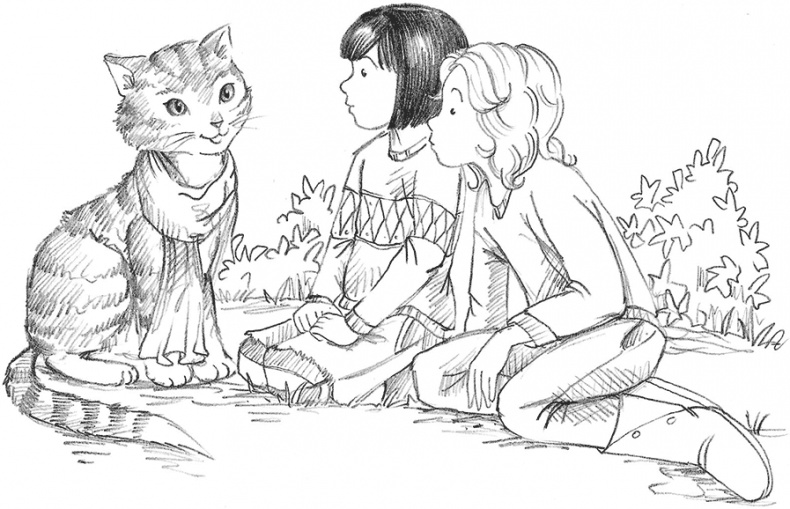 Иллюстрация к книге — Щенок Поппи, или Сонные чары [i_008.jpg]