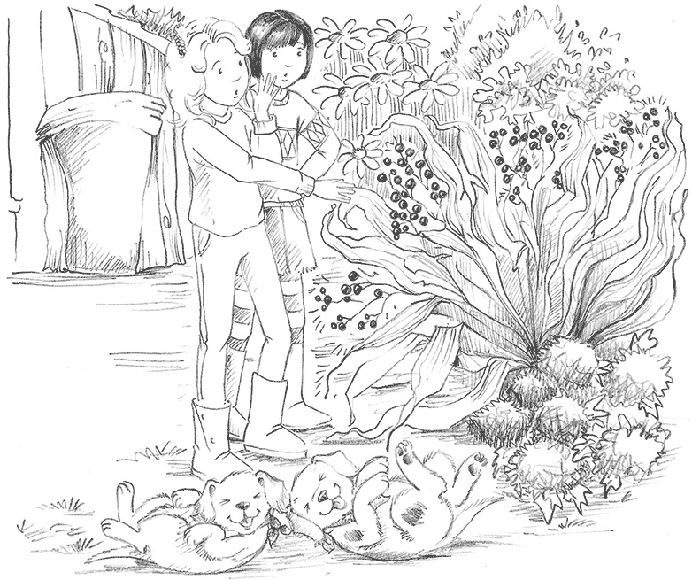 Иллюстрация к книге — Щенок Поппи, или Сонные чары [i_012.jpg]