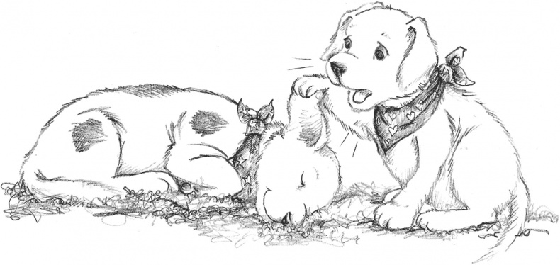 Иллюстрация к книге — Щенок Поппи, или Сонные чары [i_016.jpg]