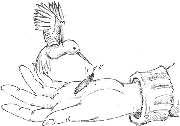 Иллюстрация к книге — Щенок Поппи, или Сонные чары [i_022.jpg]