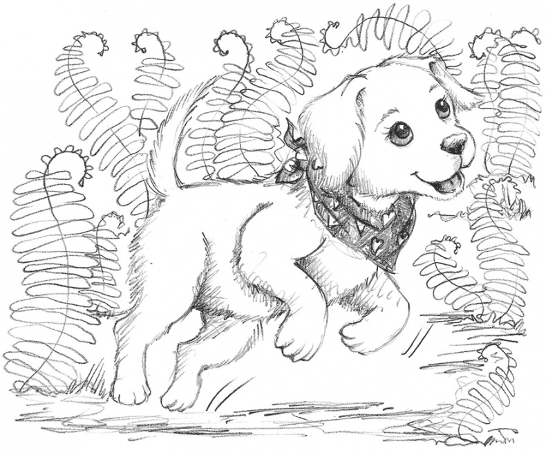 Иллюстрация к книге — Щенок Поппи, или Сонные чары [i_032.jpg]