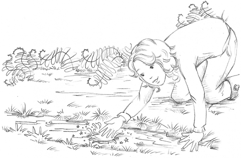 Иллюстрация к книге — Щенок Поппи, или Сонные чары [i_033.jpg]