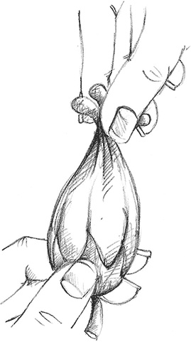 Иллюстрация к книге — Щенок Поппи, или Сонные чары [i_034.jpg]