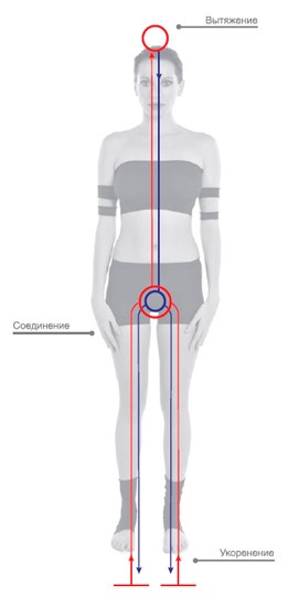 Иллюстрация к книге — Энергетика йоги. Практический курс [i_003.jpg]