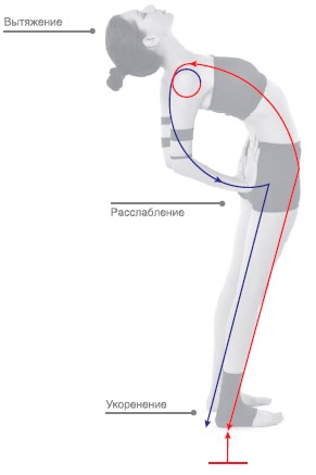 Иллюстрация к книге — Энергетика йоги. Практический курс [i_005.jpg]