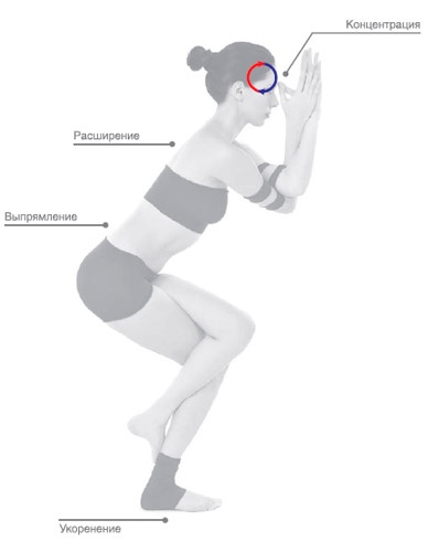 Иллюстрация к книге — Энергетика йоги. Практический курс [i_007.jpg]