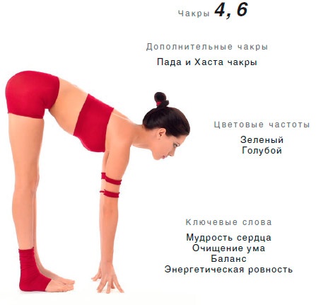 Иллюстрация к книге — Энергетика йоги. Практический курс [i_014.jpg]