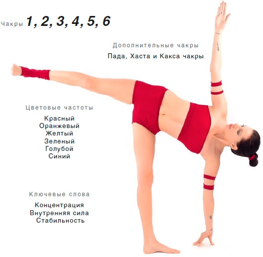 Иллюстрация к книге — Энергетика йоги. Практический курс [i_016.jpg]