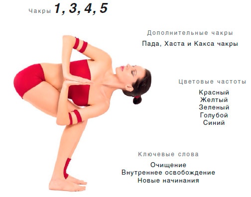 Иллюстрация к книге — Энергетика йоги. Практический курс [i_020.jpg]