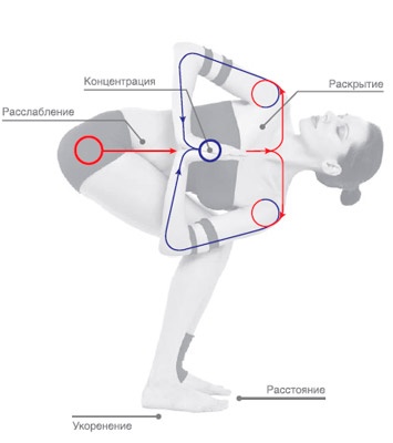 Иллюстрация к книге — Энергетика йоги. Практический курс [i_021.jpg]