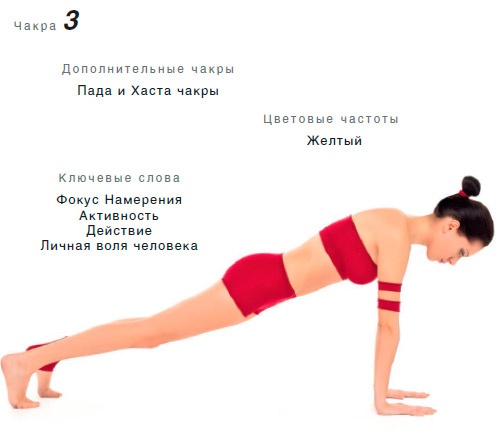 Иллюстрация к книге — Энергетика йоги. Практический курс [i_022.jpg]