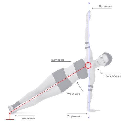 Иллюстрация к книге — Энергетика йоги. Практический курс [i_025.jpg]
