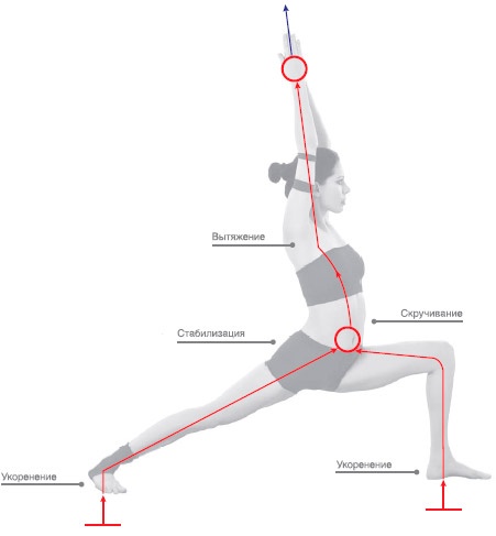 Иллюстрация к книге — Энергетика йоги. Практический курс [i_035.jpg]