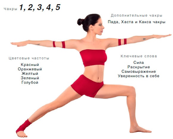 Иллюстрация к книге — Энергетика йоги. Практический курс [i_040.jpg]