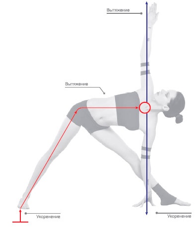 Иллюстрация к книге — Энергетика йоги. Практический курс [i_045.jpg]