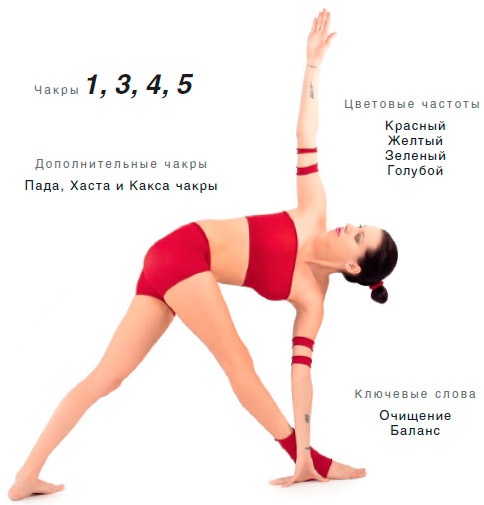 Иллюстрация к книге — Энергетика йоги. Практический курс [i_046.jpg]