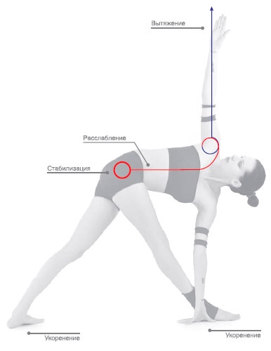 Иллюстрация к книге — Энергетика йоги. Практический курс [i_047.jpg]