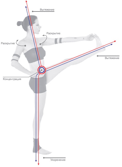 Иллюстрация к книге — Энергетика йоги. Практический курс [i_053.jpg]