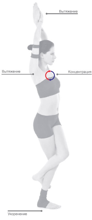 Иллюстрация к книге — Энергетика йоги. Практический курс [i_055.jpg]