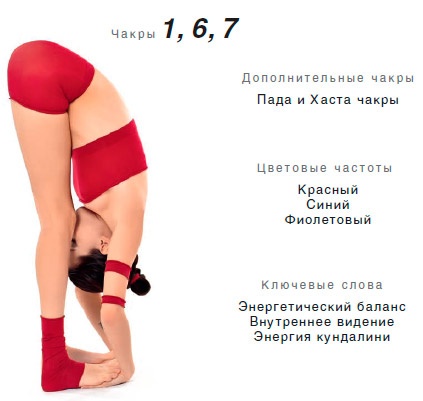 Иллюстрация к книге — Энергетика йоги. Практический курс [i_056.jpg]