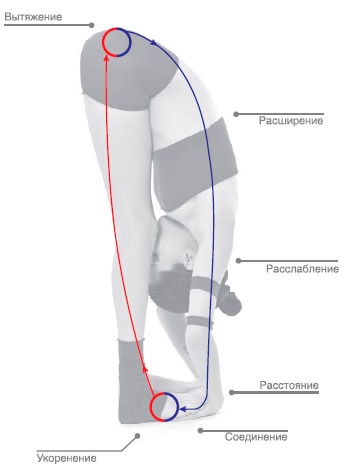 Иллюстрация к книге — Энергетика йоги. Практический курс [i_057.jpg]
