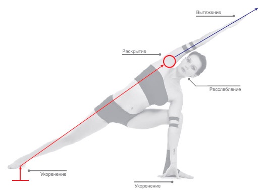 Иллюстрация к книге — Энергетика йоги. Практический курс [i_065.jpg]