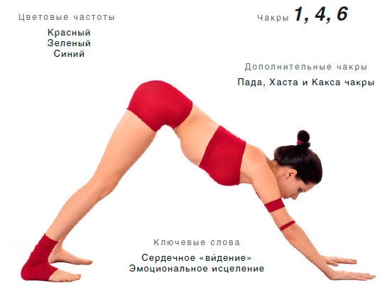 Иллюстрация к книге — Энергетика йоги. Практический курс [i_066.jpg]