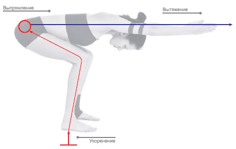 Иллюстрация к книге — Энергетика йоги. Практический курс [i_071.jpg]