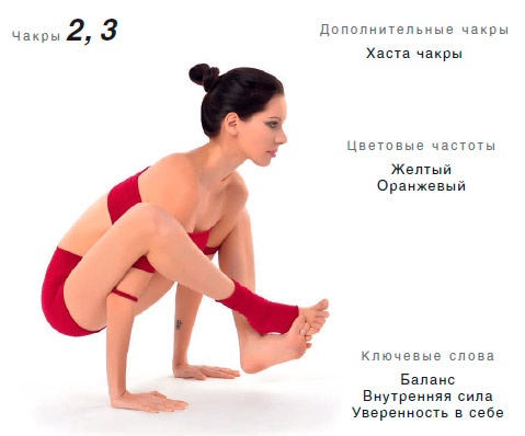 Иллюстрация к книге — Энергетика йоги. Практический курс [i_072.jpg]