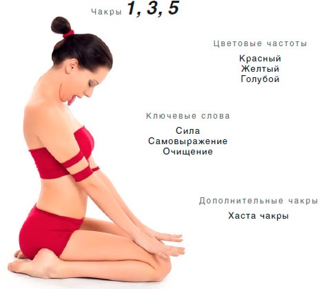 Иллюстрация к книге — Энергетика йоги. Практический курс [i_074.jpg]
