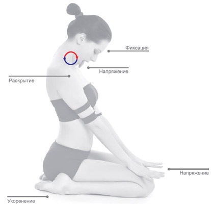 Иллюстрация к книге — Энергетика йоги. Практический курс [i_075.jpg]