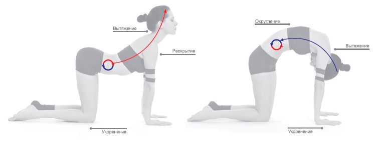 Иллюстрация к книге — Энергетика йоги. Практический курс [i_077.jpg]