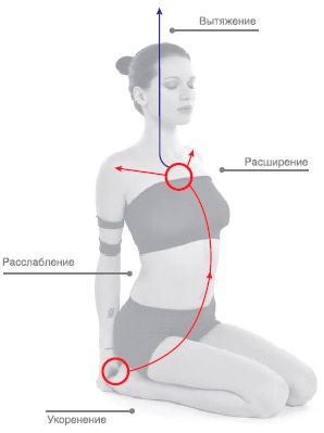 Иллюстрация к книге — Энергетика йоги. Практический курс [i_081.jpg]