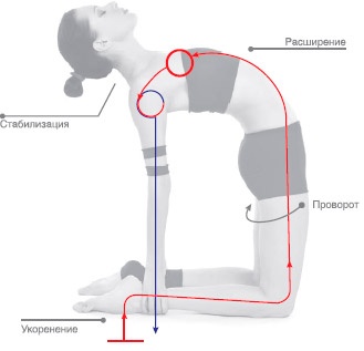 Иллюстрация к книге — Энергетика йоги. Практический курс [i_085.jpg]